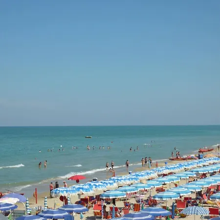 Ippocampo New Silvi سيلفي مارينا